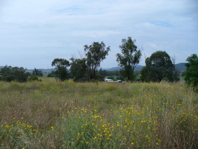 The view from Govt House, Wellington Valley