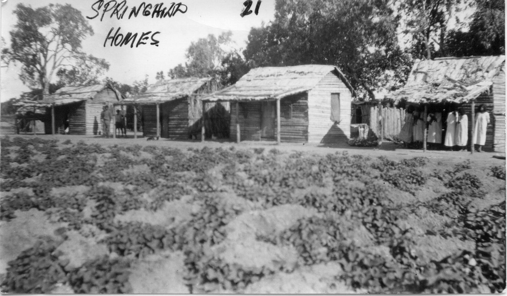 housing at Spring Hill