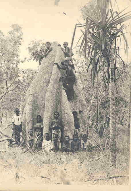 Children at Cape Bedford